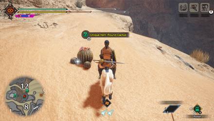 MH Rise Sunbreak - Round Cactus 7