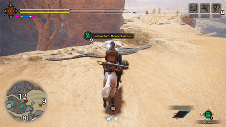 MH Rise Sunbreak - Round Cactus 6