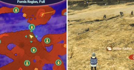 XC3 - Glitter Radish