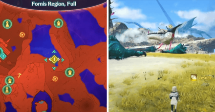 XC3 - Lucky Marrin Thickcuts