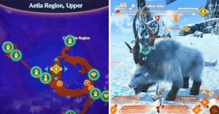 XC3 - Mottlemarble Aries Meat