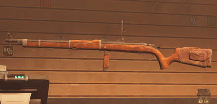 .585 Safari Express Rifle
