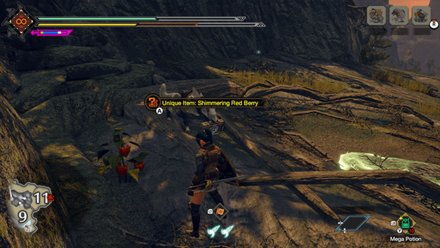 MH Rise Sunbreak - Shimmering Red Berry 4