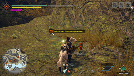 MH Rise Sunbreak - Shimmering Red Berry 2