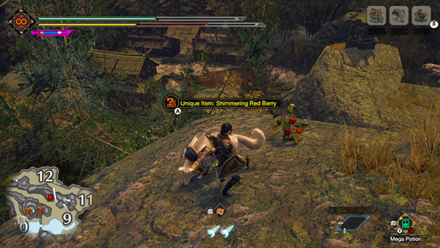 MH Rise Sunbreak - Shimmering Red Berry 3