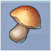 Champignon