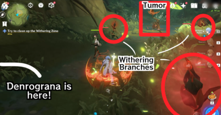 Genshin - The Lost Child The Withering Zone