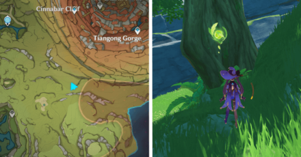 Border of Liyue and Sumeru.png