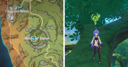 Ruins of Dahri Big Tree.png