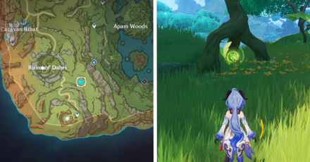 East of Ruins of Dahri.png