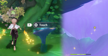 Genshin - Second Flower to go to higher level