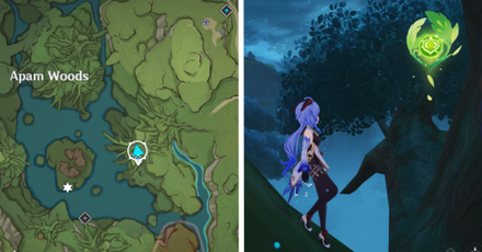 Southeast Apam Woods.png