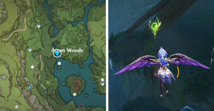 Waterfall Apam Woods.png