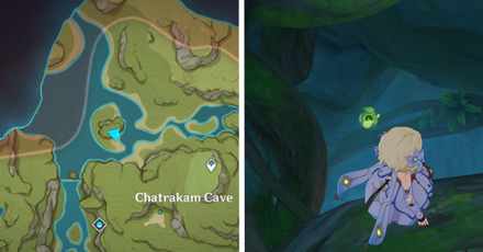 Cave BLOCKED by Vines.png