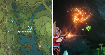 Center of Apam Woods.png