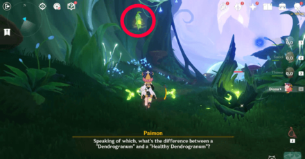 Genshin - Dendrogana to Floating rings