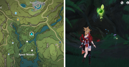 Base of a Tree Apam.png