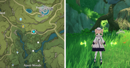 Withering zone North of Apam.png