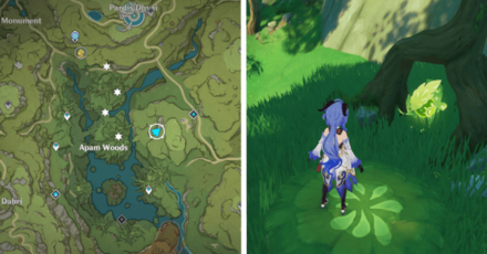 Withering zone East of Apam.png