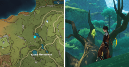 North of Yasna Monument Large Tree.png