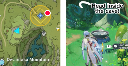 Genshin - Look for Araphala