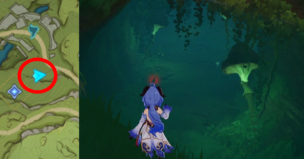 Genshin - Head Mushroom Location