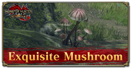 Sunbreak Exquisite Mushroom Location How to Get and Uses