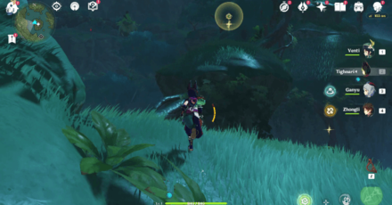 Genshin - Mysterious Clipboard 2 Location 1