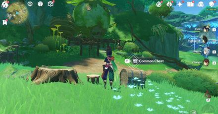 Genshin - Mysterious Clipboard 4 Location 2