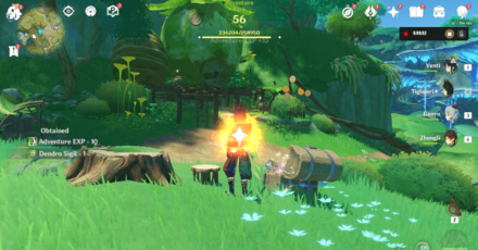 Genshin - Mysterious Clipboard 4 Location 3