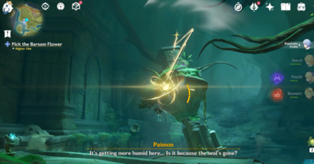 Genshin - Tether to the Main Room to Pick up the Barsam Flower