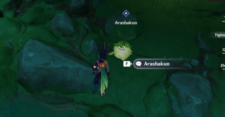 Genshin - Courage is in the Heart - Arashakun