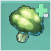 Brocoli