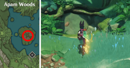 Genshin - How to Get to the Coordinates of Sun and Rain Domain