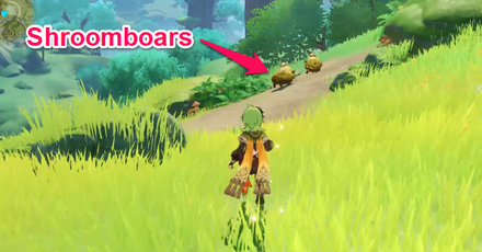 Where to find Shroomboars