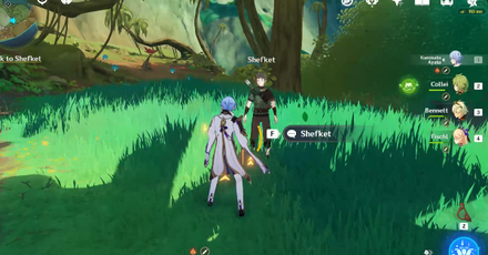 A Short Encounter with a Rare Bird Part 5