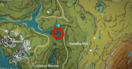 Gator Raja East of Sumeru City