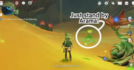 Genshin - Destroy the Tumor with Arama