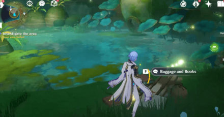 Genshin - Baggage and Books