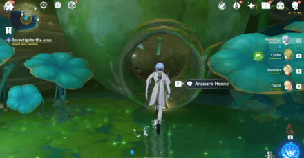 Genshin - Aranara House