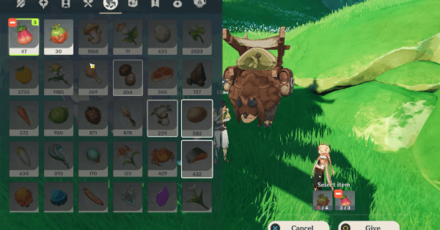 Genshin - Give fruits to Elber