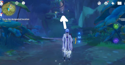 Genshin - Go to the designated location in Vanarana