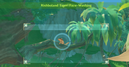 Genshin - Snapshots Day 3 - Take a Photo Rishboland Tiger Face-Washing