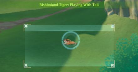 Genshin - Snapshots Day 3 - Take a Photo Rishboland Tiger Playing with Tail