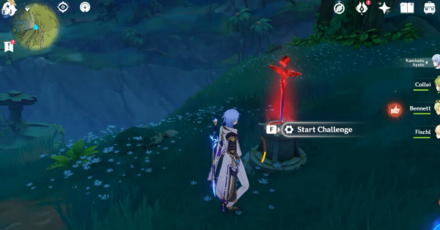 Genshin - Battle Combat Challenge