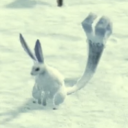 Xenoblade Chronicles 3 - Hitter Bunnit