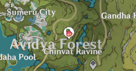 Genshin Impact Cooking Ingredient Zaytun Peach Sumeru Location Chinvat Ravine, Avidya Forest