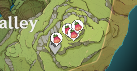 Genshin Impact Cooking Ingredient Zaytun Peach Sumeru Location Ardravi Village 4