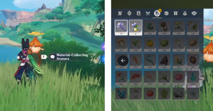 Genshin - Material-Collecting Aranara