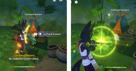 Genshin - Confused Aranara